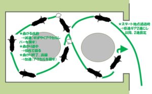 普通自動二輪免許取得 バイクの重心の掛け方で決まる8の字とスラローム攻略のコツ 資格の窓 必勝ポイントをおさえて夢の資格 免許を取得